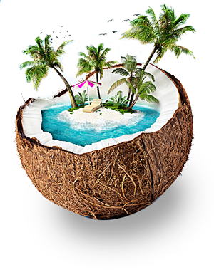 refresh_coconut